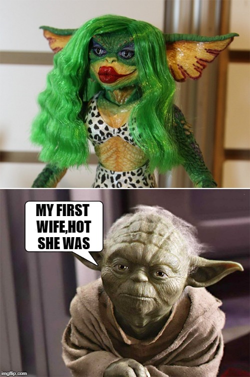 yoda's wife  | MY FIRST WIFE,HOT SHE WAS | image tagged in yoda,wife | made w/ Imgflip meme maker