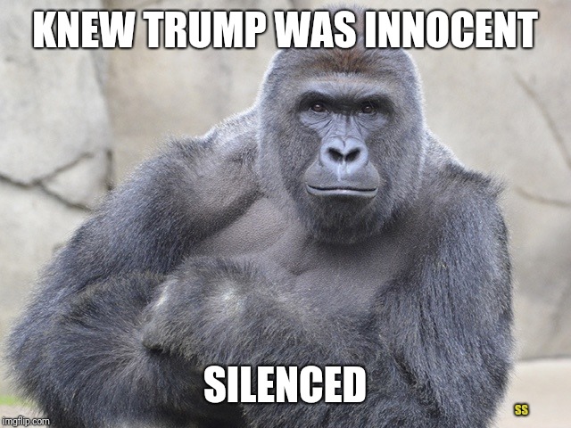 harambe | KNEW TRUMP WAS INNOCENT; SILENCED; SS | image tagged in harambe | made w/ Imgflip meme maker