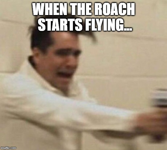 WHEN THE ROACH STARTS FLYING... | made w/ Imgflip meme maker