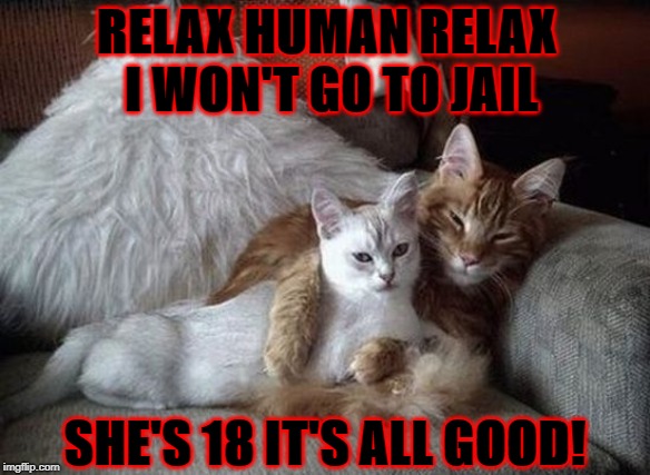 RELAX HUMAN RELAX I WON'T GO TO JAIL; SHE'S 18 IT'S ALL GOOD! | image tagged in relax human | made w/ Imgflip meme maker