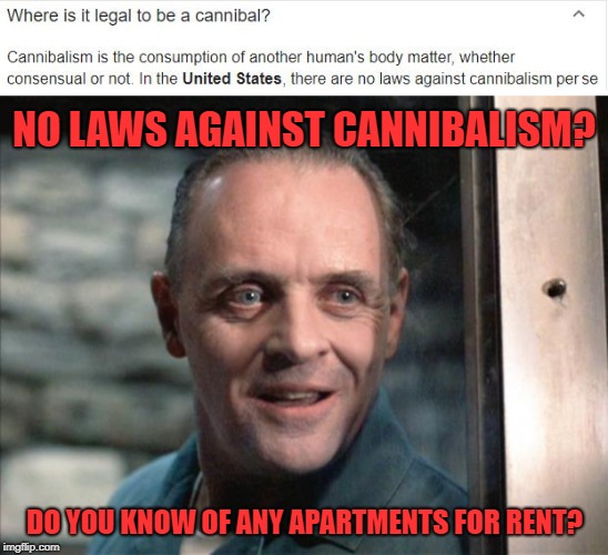 NO LAWS AGAINST CANNIBALISM? DO YOU KNOW OF ANY APARTMENTS FOR RENT? | image tagged in hannibal lecter,cannibal | made w/ Imgflip meme maker