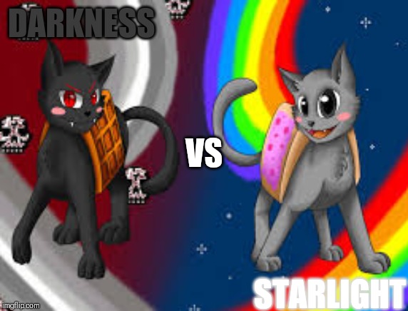 Darkness or Starlight | DARKNESS; VS; STARLIGHT | image tagged in tac nayn vs nyan cat,darkness,vs,light | made w/ Imgflip meme maker