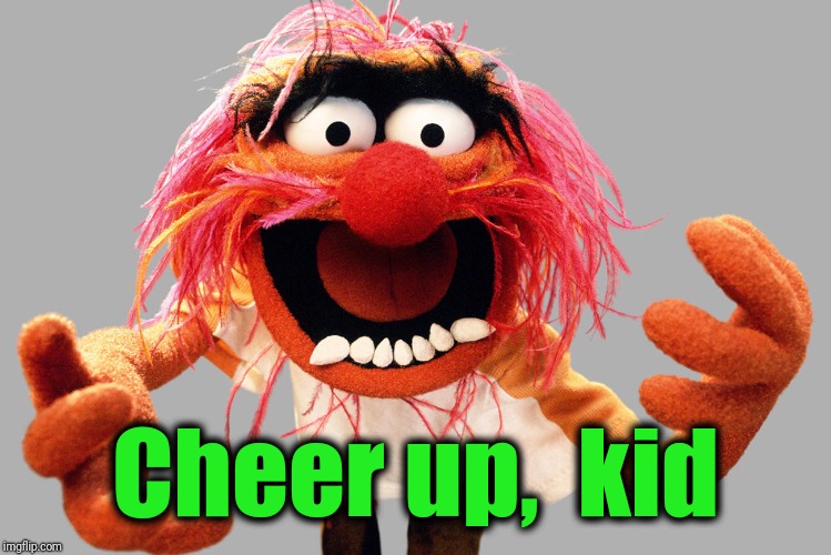 animal muppets | Cheer up,  kid | image tagged in animal muppets | made w/ Imgflip meme maker