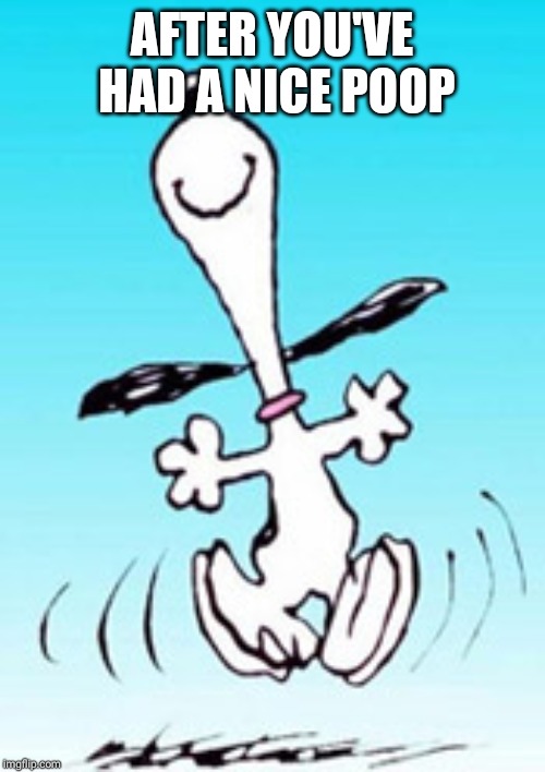 Snoopy dance |  AFTER YOU'VE HAD A NICE POOP | image tagged in snoopy dance | made w/ Imgflip meme maker