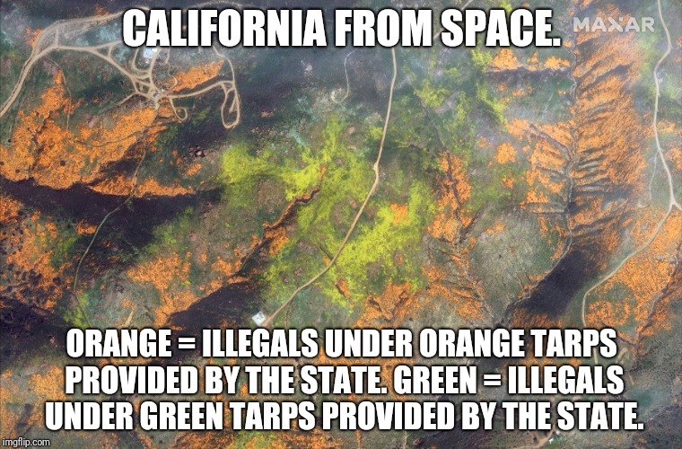Illegals | CALIFORNIA FROM SPACE. ORANGE = ILLEGALS UNDER ORANGE TARPS PROVIDED BY THE STATE.
GREEN = ILLEGALS UNDER GREEN TARPS PROVIDED BY THE STATE. | image tagged in illegals | made w/ Imgflip meme maker
