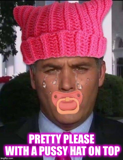 PRETTY PLEASE WITH A PUSSY HAT ON TOP | made w/ Imgflip meme maker