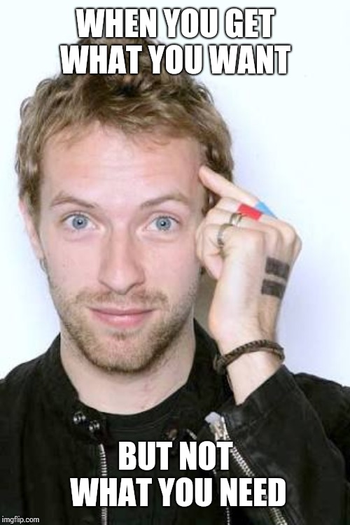Chris Martin | WHEN YOU GET WHAT YOU WANT BUT NOT WHAT YOU NEED | image tagged in chris martin | made w/ Imgflip meme maker