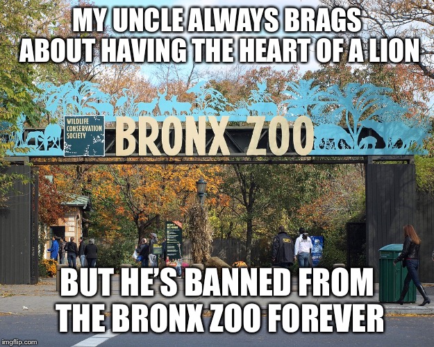 Lionheart | MY UNCLE ALWAYS BRAGS ABOUT HAVING THE HEART OF A LION; BUT HE’S BANNED FROM THE BRONX ZOO FOREVER | image tagged in zoo | made w/ Imgflip meme maker