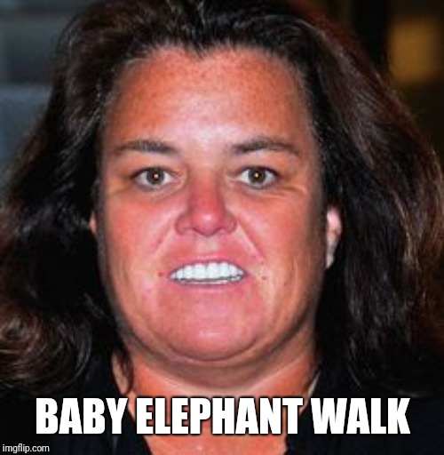 Rosie Pig | BABY ELEPHANT WALK | image tagged in rosie pig | made w/ Imgflip meme maker