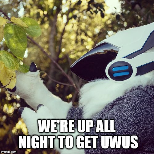 Primagen Meme | WE'RE UP ALL NIGHT TO GET UWUS | image tagged in primagen meme | made w/ Imgflip meme maker
