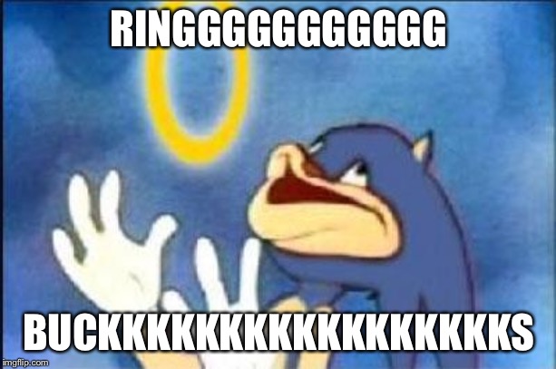 Sonic derp | RINGGGGGGGGGGG; BUCKKKKKKKKKKKKKKKKKS | image tagged in sonic derp | made w/ Imgflip meme maker