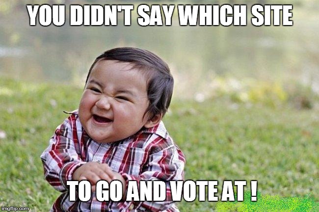 YOU DIDN'T SAY WHICH SITE TO GO AND VOTE AT ! | made w/ Imgflip meme maker