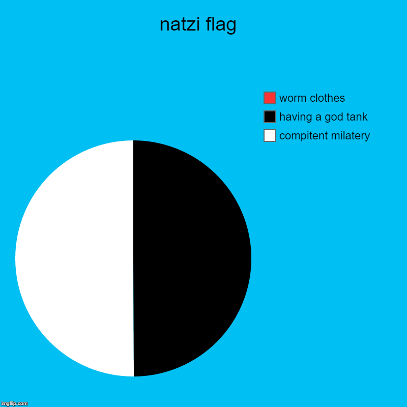 natzi flag  | compitent milatery, having a god tank, worm clothes | image tagged in charts,pie charts | made w/ Imgflip chart maker