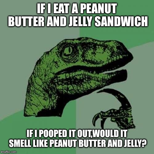 Philosoraptor | IF I EAT A PEANUT BUTTER AND JELLY SANDWICH; IF I POOPED IT OUT,WOULD IT SMELL LIKE PEANUT BUTTER AND JELLY? | image tagged in memes,philosoraptor | made w/ Imgflip meme maker