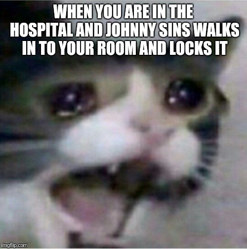 crying cat | WHEN YOU ARE IN THE HOSPITAL AND JOHNNY SINS WALKS IN TO YOUR ROOM AND LOCKS IT | image tagged in crying cat | made w/ Imgflip meme maker