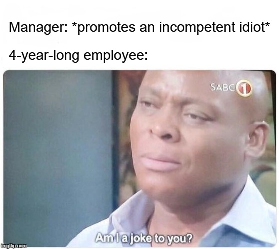 No, for real, everyone can relate a little bit with this | Manager: *promotes an incompetent idiot*; 4-year-long employee: | image tagged in am i a joke to you | made w/ Imgflip meme maker