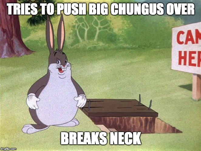 Big Chungus | TRIES TO PUSH BIG CHUNGUS OVER; BREAKS NECK | image tagged in big chungus | made w/ Imgflip meme maker