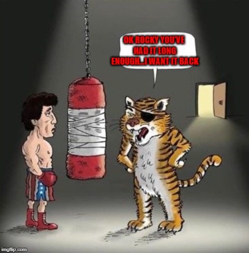 The eye had to come from somewhere!!! | OK ROCKY YOU'VE HAD IT LONG ENOUGH...I WANT IT BACK | image tagged in rocky,memes,tiger,funny,eye of the tiger,animals | made w/ Imgflip meme maker