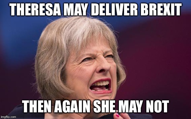 Theresa May | THERESA MAY DELIVER BREXIT; THEN AGAIN SHE MAY NOT | image tagged in theresa may,memes | made w/ Imgflip meme maker