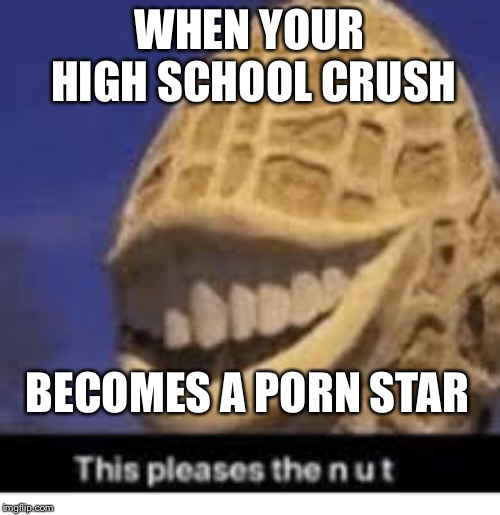 This pleases the nut | WHEN YOUR HIGH SCHOOL CRUSH; BECOMES A PORN STAR | image tagged in this pleases the nut,memes | made w/ Imgflip meme maker