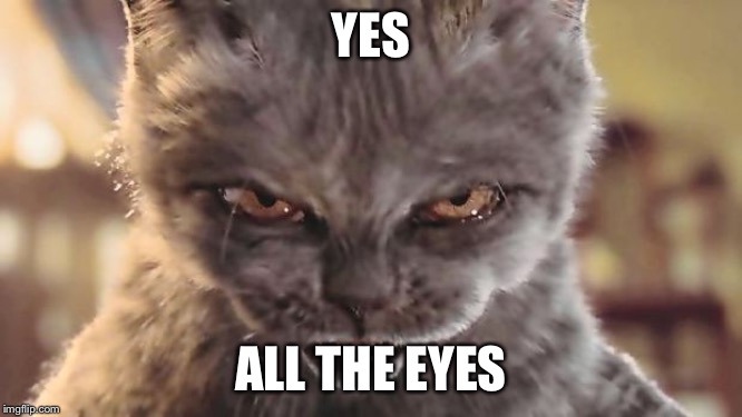 Evil Cat | YES ALL THE EYES | image tagged in evil cat | made w/ Imgflip meme maker