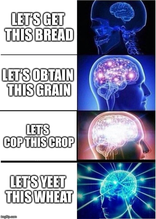 Expanding Brain Meme | LET’S GET THIS BREAD; LET’S OBTAIN THIS GRAIN; LET’S COP THIS CROP; LET’S YEET THIS WHEAT | image tagged in memes,expanding brain | made w/ Imgflip meme maker