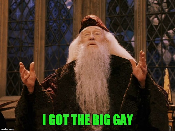 Dumbledore | I GOT THE BIG GAY | image tagged in dumbledore,memes | made w/ Imgflip meme maker