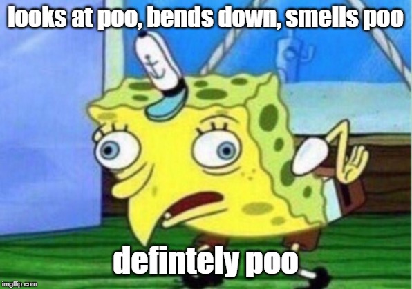 Mocking Spongebob | looks at poo, bends down, smells poo; defintely poo | image tagged in memes,mocking spongebob | made w/ Imgflip meme maker