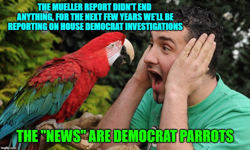 Presstitute Parrot | THE MUELLER REPORT DIDN'T END ANYTHING, FOR THE NEXT FEW YEARS WE'LL BE REPORTING ON HOUSE DEMOCRAT INVESTIGATIONS; THE "NEWS" ARE DEMOCRAT PARROTS | image tagged in fake news,parrot | made w/ Imgflip meme maker
