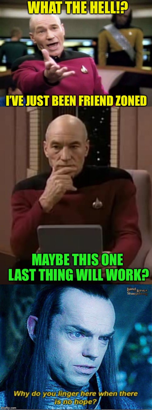 One does not simply come back from this  | WHAT THE HELL!? I’VE JUST BEEN FRIEND ZONED; MAYBE THIS ONE LAST THING WILL WORK? | image tagged in memes,picard wtf,picard thinking,best friends,forever alone guy,friend zone | made w/ Imgflip meme maker