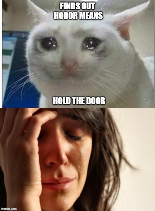 FINDS OUT HODOR MEANS; HOLD THE DOOR | image tagged in memes,first world problems,crying cat | made w/ Imgflip meme maker