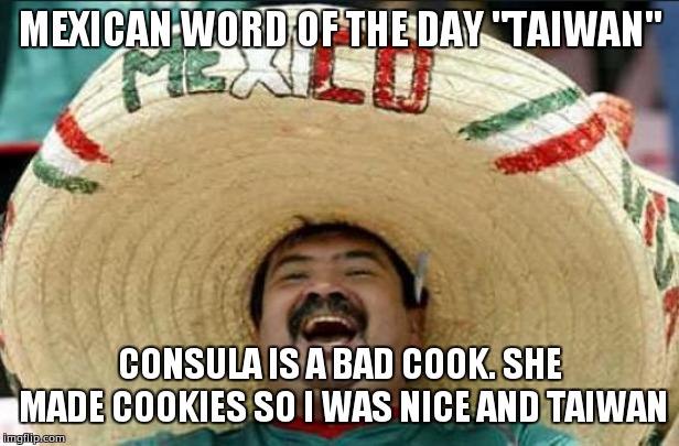 mexican word of the day | MEXICAN WORD OF THE DAY "TAIWAN"; CONSULA IS A BAD COOK. SHE MADE COOKIES SO I WAS NICE AND TAIWAN | image tagged in mexican word of the day | made w/ Imgflip meme maker