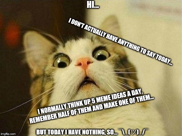 lol... I'm so weird... miaow | HI... I DON'T ACTUALLY HAVE ANYTHING TO SAY TODAY... I NORMALLY THINK UP 5 MEME IDEAS A DAY, REMEMBER HALF OF THEM AND MAKE ONE OF THEM... BUT TODAY I HAVE NOTHING, SO... ¯\_(ツ)_/¯ | image tagged in memes,scared cat | made w/ Imgflip meme maker