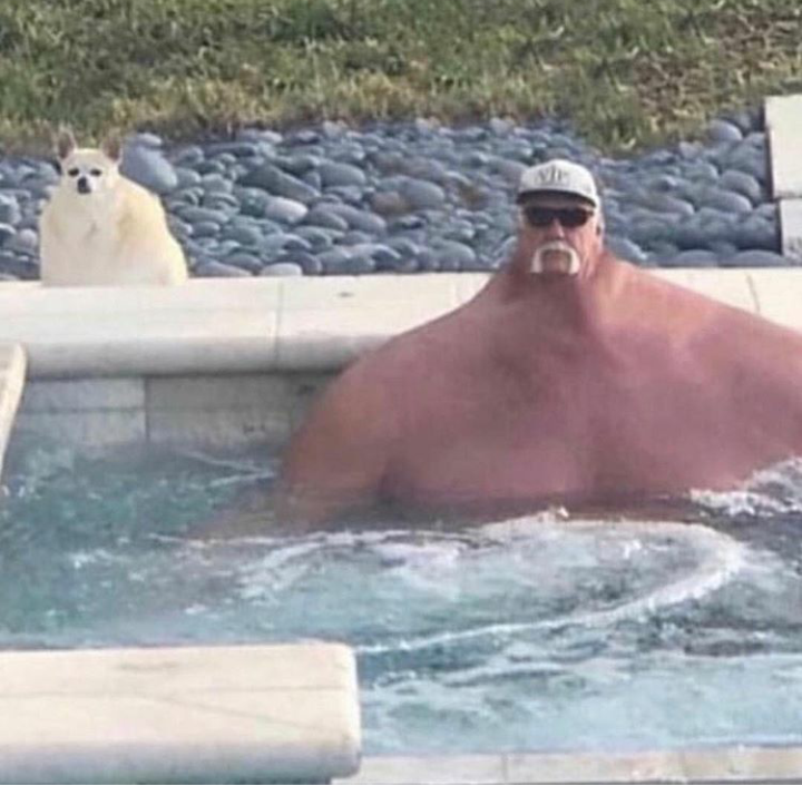 Pool buddies Blank Meme Template