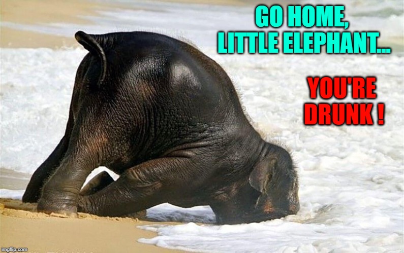 You heard of "Baby Elephant Walk?" Here's Baby Elephant Staggering |  GO HOME, LITTLE ELEPHANT... YOU'RE DRUNK ! | image tagged in vince vance,baby elephant walk,elephant with face in the sand,baby elephant,elephant at beach,drunk baby | made w/ Imgflip meme maker