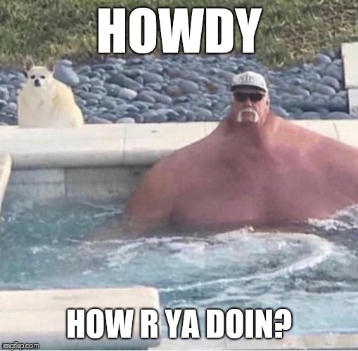 Pool buddies | HOWDY; HOW R YA DOIN? | image tagged in pool buddies | made w/ Imgflip meme maker