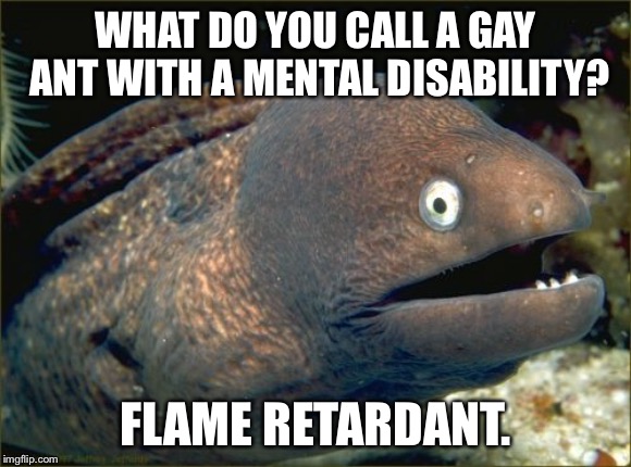 Bad Joke Eel Meme | WHAT DO YOU CALL A GAY ANT WITH A MENTAL DISABILITY? FLAME RETARDANT. | image tagged in memes,bad joke eel,ant,retard,mental,gay jokes | made w/ Imgflip meme maker