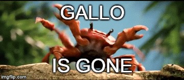 Gallo is gone | GALLO; IS GONE | image tagged in bruh | made w/ Imgflip meme maker