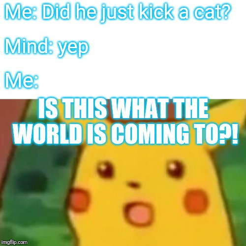 Surprised Pikachu Meme | Me: Did he just kick a cat? Mind: yep Me: IS THIS WHAT THE WORLD IS COMING TO?! | image tagged in memes,surprised pikachu | made w/ Imgflip meme maker