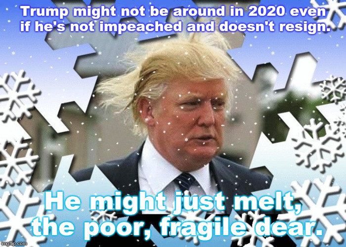 trump snowflake | Trump might not be around in 2020 even if he's not impeached and doesn't resign. He might just melt, the poor, fragile dear. | image tagged in trump snowflake | made w/ Imgflip meme maker
