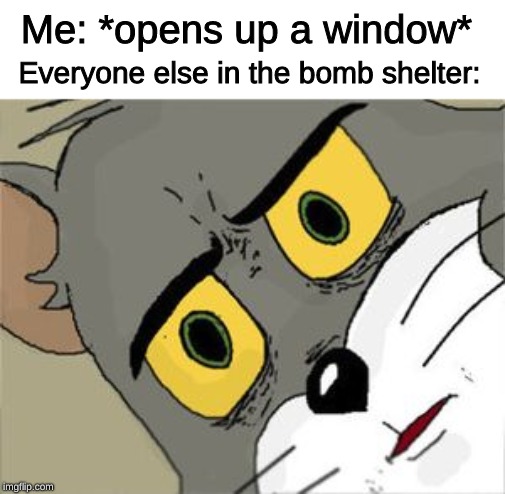 Unsettled Tom | Me: *opens up a window*; Everyone else in the bomb shelter: | image tagged in unsettled tom | made w/ Imgflip meme maker