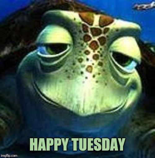 Finding Nemo turtle | HAPPY TUESDAY | image tagged in finding nemo turtle | made w/ Imgflip meme maker