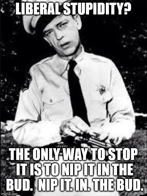 Barney fife | LIBERAL STUPIDITY? THE ONLY WAY TO STOP IT IS TO NIP IT IN THE BUD.  NIP IT. IN. THE BUD. | image tagged in barney fife | made w/ Imgflip meme maker