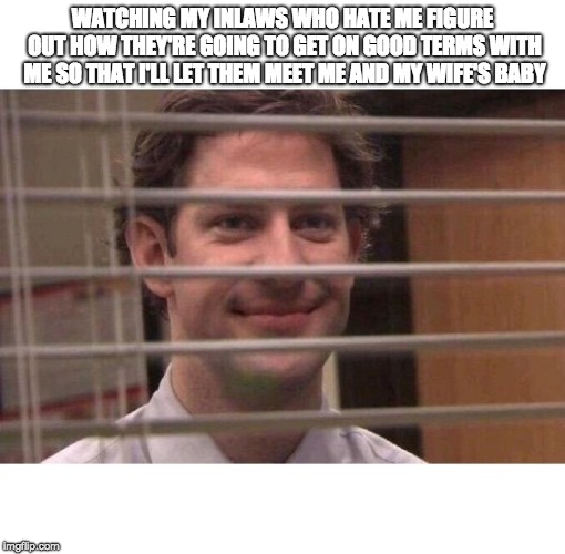 Jim Office Blinds | WATCHING MY INLAWS WHO HATE ME FIGURE OUT HOW THEY'RE GOING TO GET ON GOOD TERMS WITH ME SO THAT I'LL LET THEM MEET ME AND MY WIFE'S BABY | image tagged in jim office blinds,AdviceAnimals | made w/ Imgflip meme maker