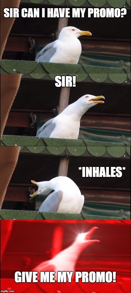 Inhaling Seagull | SIR CAN I HAVE MY PROMO? SIR! *INHALES*; GIVE ME MY PROMO! | image tagged in memes,inhaling seagull | made w/ Imgflip meme maker
