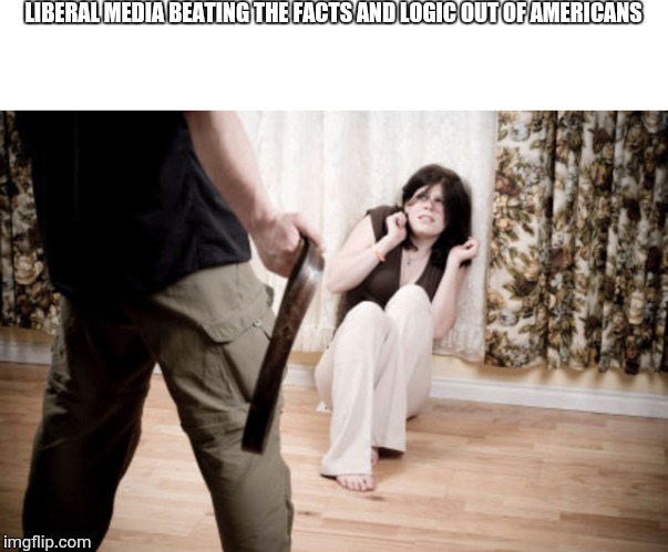 domestic violence | LIBERAL MEDIA BEATING THE FACTS AND LOGIC OUT OF AMERICANS | image tagged in domestic violence | made w/ Imgflip meme maker