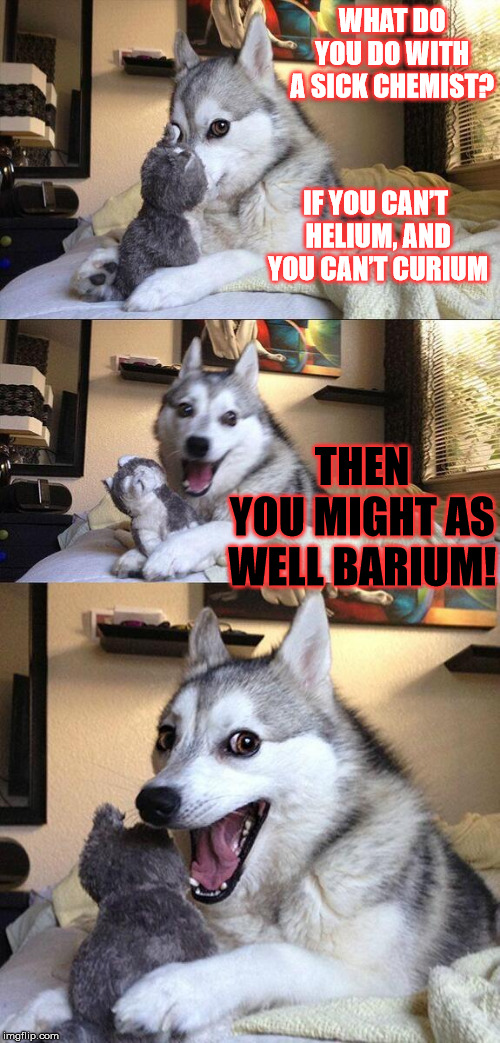 Bad Pun Dog dives into the wonderful world of Chemistry... | WHAT DO YOU DO WITH A SICK CHEMIST? IF YOU CAN’T HELIUM, AND YOU CAN’T CURIUM; THEN YOU MIGHT AS WELL BARIUM! | image tagged in memes,bad pun dog,funny,chemistry,bad joke,dogs | made w/ Imgflip meme maker
