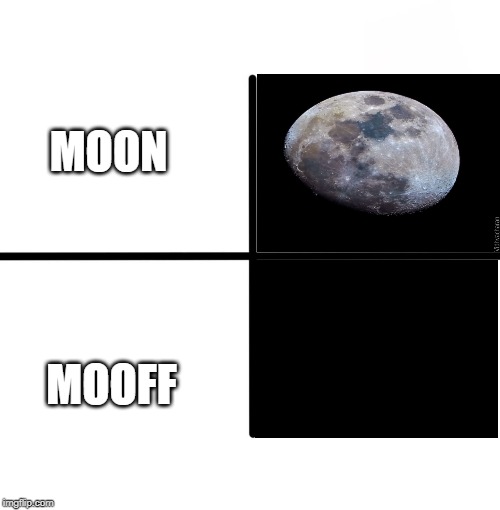 Blank Starter Pack | MOON; MOOFF | image tagged in memes,blank starter pack | made w/ Imgflip meme maker