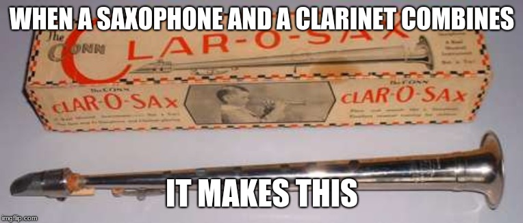 when a saxophone and a clarinet combines it makes this | WHEN A SAXOPHONE AND A CLARINET COMBINES; IT MAKES THIS | image tagged in memes,music,bands | made w/ Imgflip meme maker