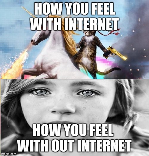 Welcome To The Internets | HOW YOU FEEL WITH INTERNET; HOW YOU FEEL WITH OUT INTERNET | image tagged in memes,welcome to the internets | made w/ Imgflip meme maker